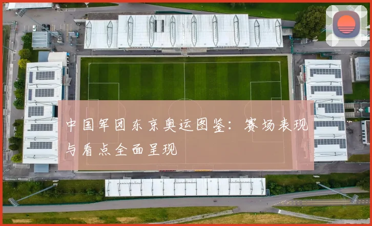中国军团东京奥运图鉴：赛场表现与看点全面呈现