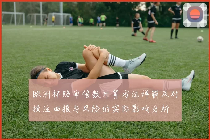 欧洲杯赔率倍数计算方法详解及对投注回报与风险的实际影响分析