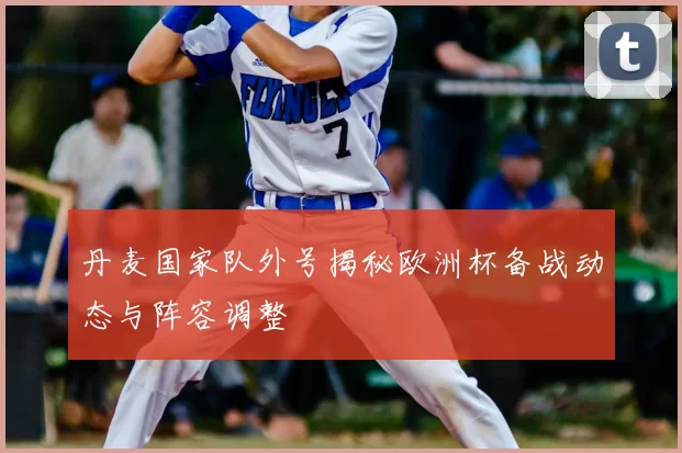 丹麦国家队外号揭秘欧洲杯备战动态与阵容调整