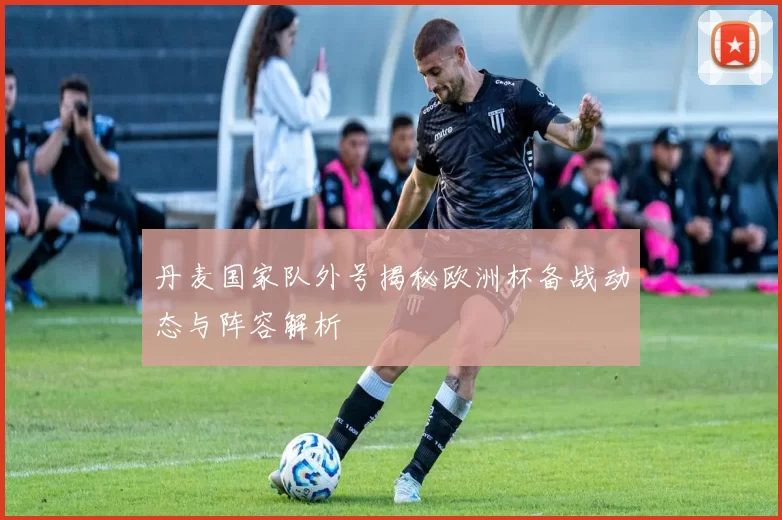 丹麦国家队外号揭秘欧洲杯备战动态与阵容解析