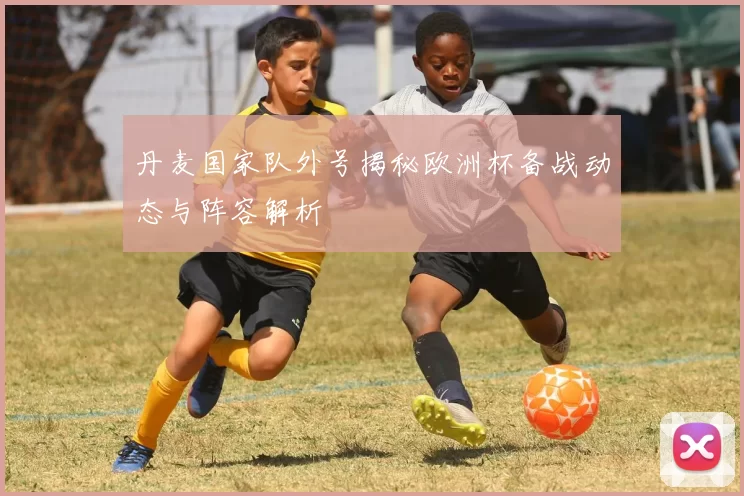 丹麦国家队外号揭秘欧洲杯备战动态与阵容解析